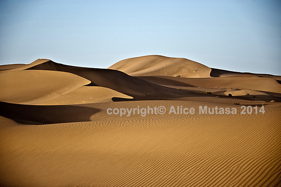 Sahara 17