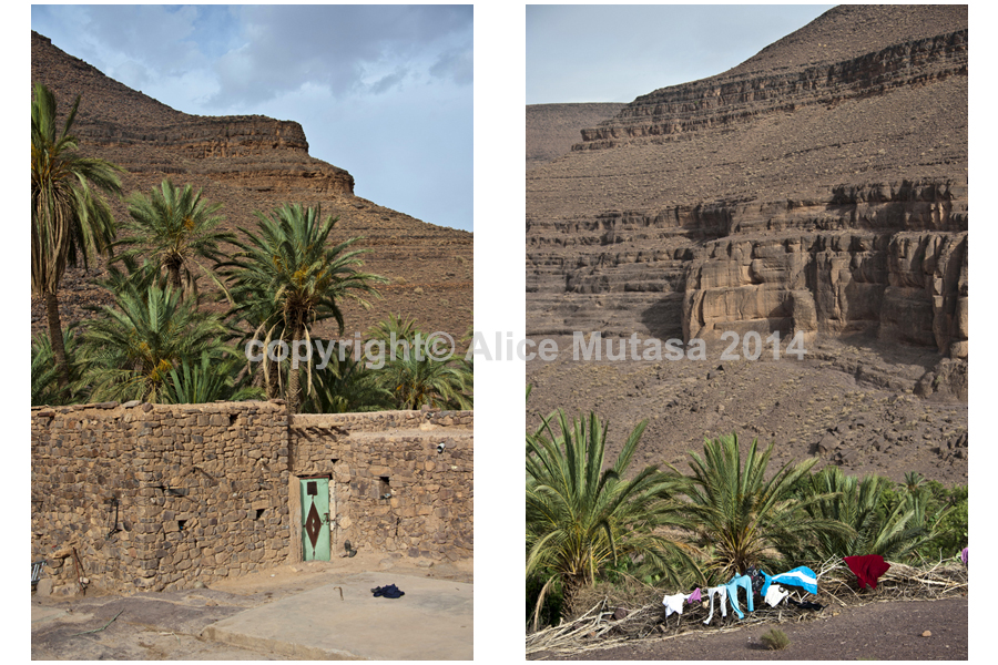Oasis de l'Oued Naougoum