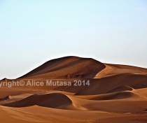 Sahara dawn