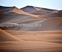 Sahara 14 - Erg Chigaga