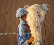 Sahara 06: Hassan + Labiat