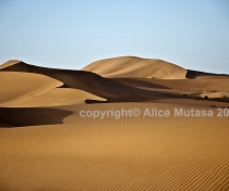 Sahara 17