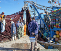 Essaouira harbour