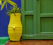 Jardin Majorelle