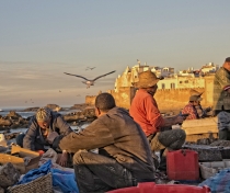 Fishermen at dusk - Essaouira harbour