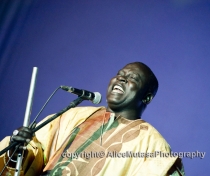 Great Nigerien artist Mamar Kassey - AKA 'Denké Denké'