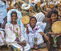 Touareg women musicians