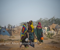 Peul campement /Peul camp; dawn