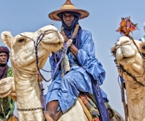 Peul on his camel