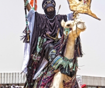 Camel fantasia