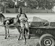 The boy who cleans the rubbish from the yards...