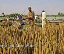 Marché de Boubon / Boubon market