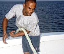 Wael; sailor, 'Hurricane', Tornado fleet  (2015)