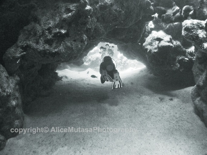 St Johns Reefs Red Sea 2015_026