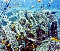 'Wrecks and Reefs' trip on Emperor Superior