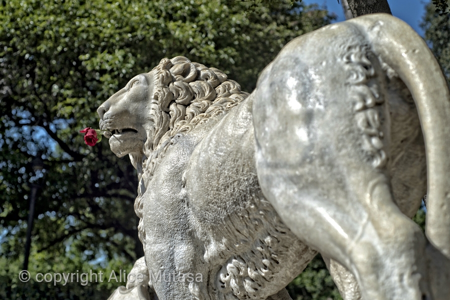 Romantic lion above Piazza del Popolo