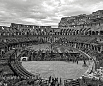 The Colosseum