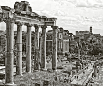 The Forum