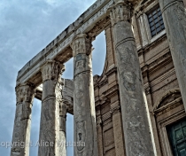 Temple of Antonio and Faustina (?)