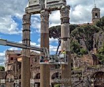 Cleaning the remains of the Temple of Venus Genetrix