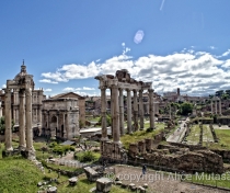The Forum