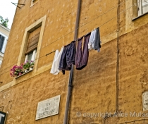 Love the colour of this wall....