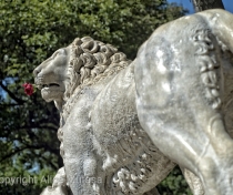 Romantic lion above Piazza del Popolo