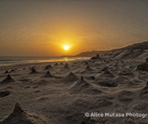 Socotra_033_V2