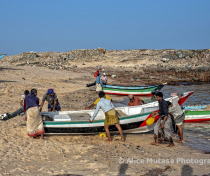 Socotra_076_V2