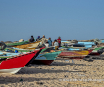 Socotra_078_V2
