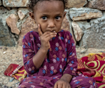 Socotra_088_V2