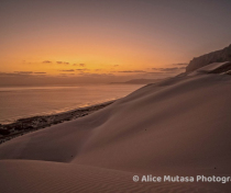 Socotra_093_V2
