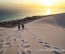 Socotra_110_V2