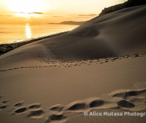 Socotra_111_V2