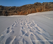 Socotra_116_V2