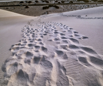 Socotra_117_V2