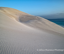 Socotra_118_V2