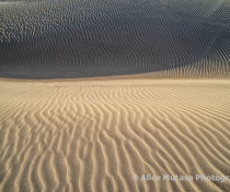 Socotra_181_V2