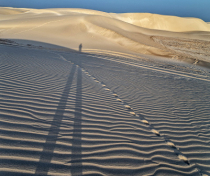 Socotra_185_V2