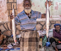 Socotra_221_V2