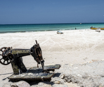 Socotra_287_V2