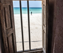 Socotra_289_V2