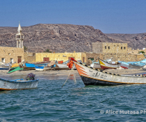 Socotra_296_V2