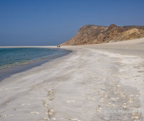 Socotra_298_V2