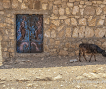 Socotra_299_V2