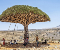 Socotra_301_V2