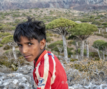 Socotra_320_V2