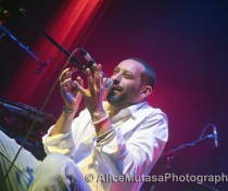 Tamer Nafar