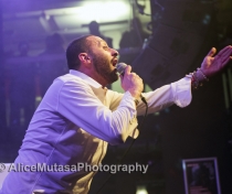 Tamer Nafar