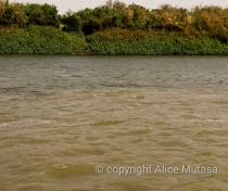 Confluence of the Blue and White Niles